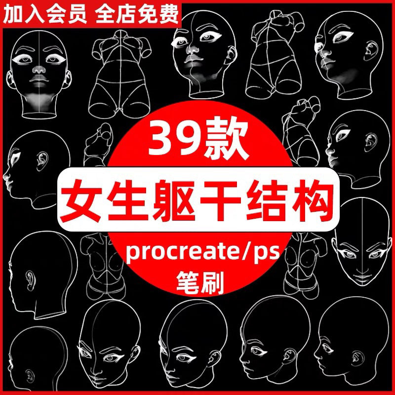 [Procreate/Ps] 39 เบสใบหน้า-ลำตัวผู้หญิง