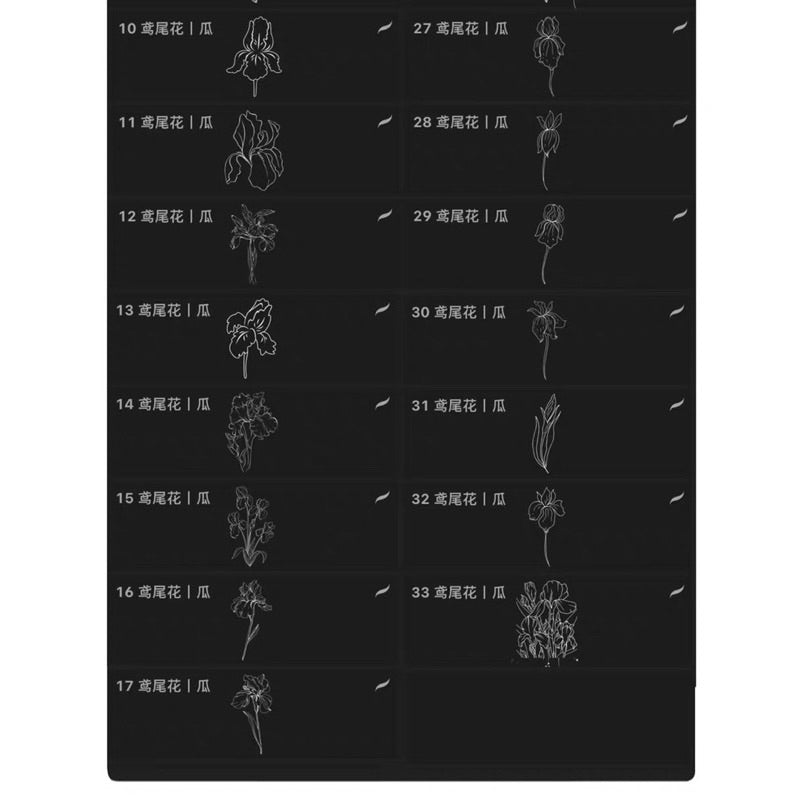 Procreate/Ps 33 บรัชดอกไอริส