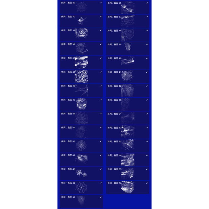Procreate/Ps 57 บรัชใยแมงมุม (H172)