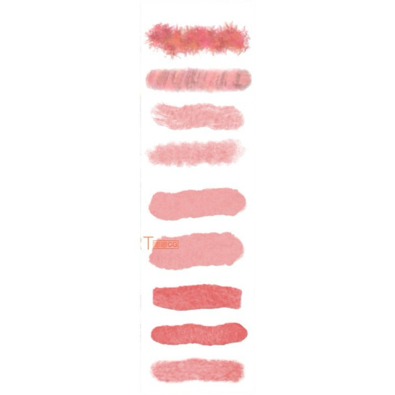 Procreate/Ps 79 บรัช watercolor (b495)