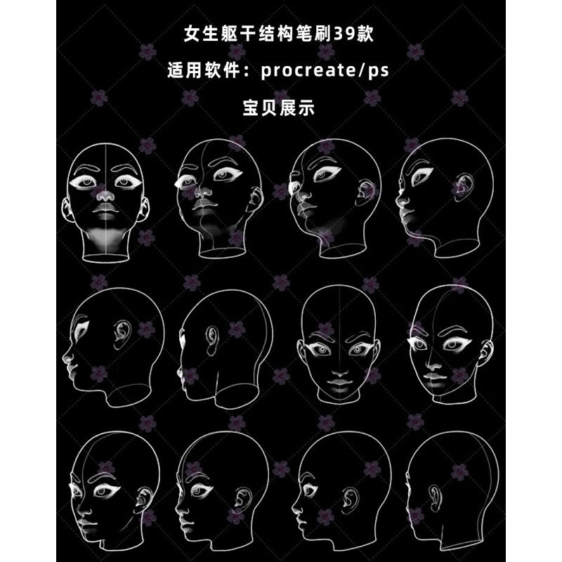 [Procreate/Ps] 39 เบสใบหน้า-ลำตัวผู้หญิง