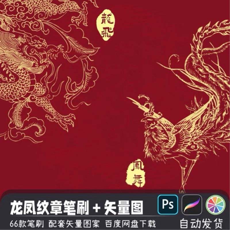 Procreate/Ps 66 Dragon and phoenix