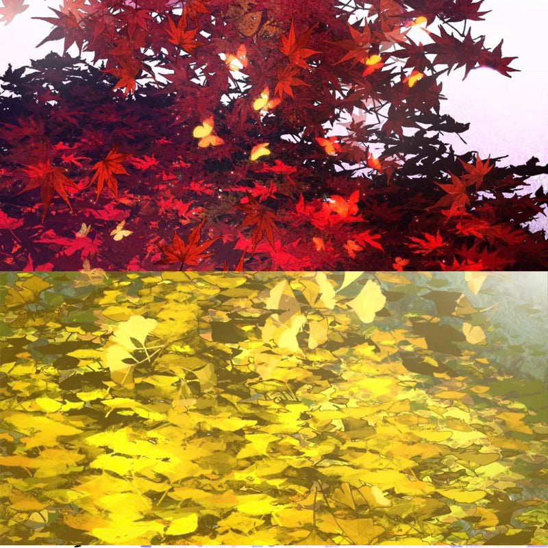 Procreate 40 บรัชดอกวิสทีเรีย กลีบดอก หญ้า ผีเสื้อ