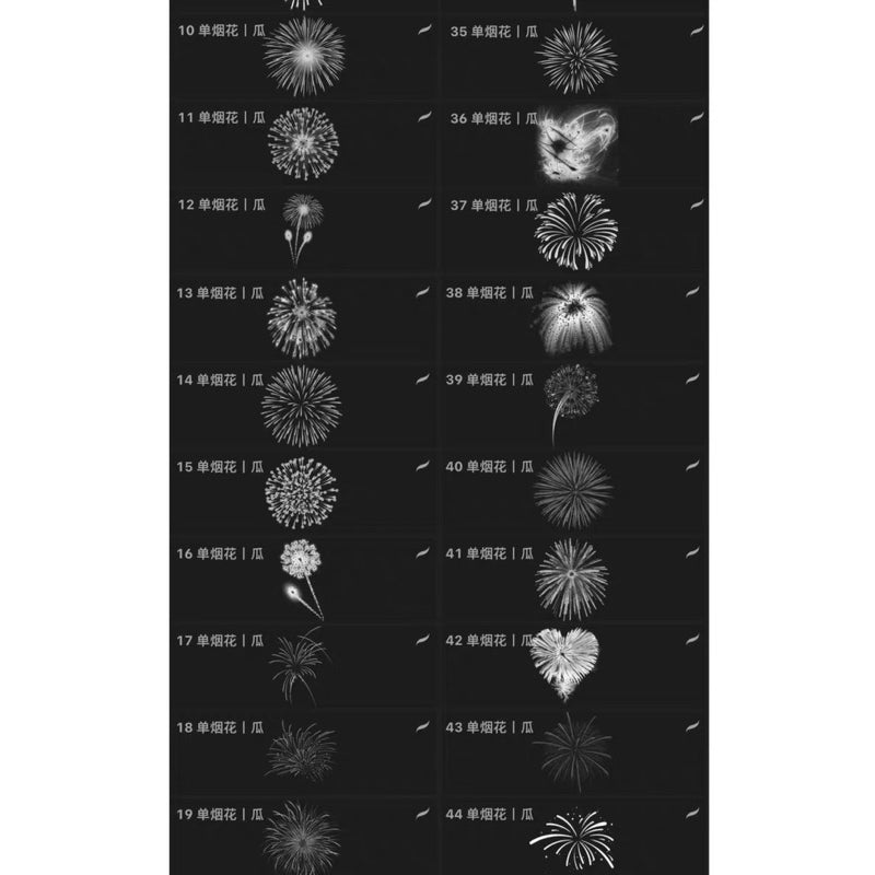 Procreate/Ps 284 บรัชเซตพลุ