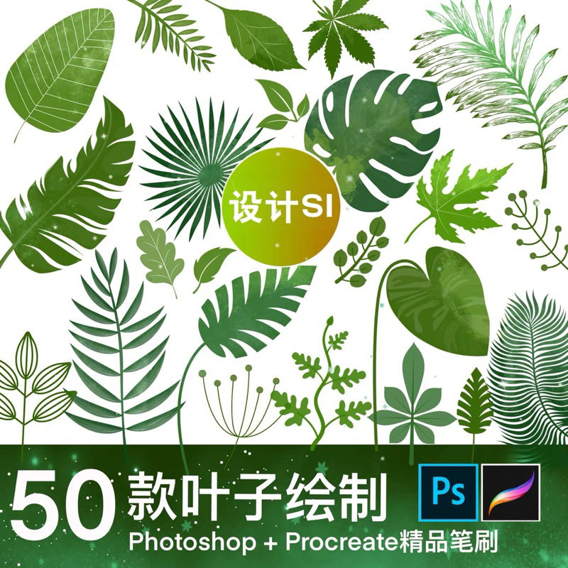 Procreate/Ps 50 บรัชใบไม้ใบบอน