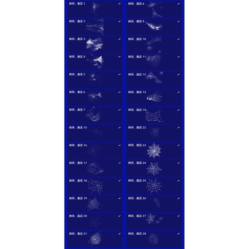 Procreate/Ps 57 บรัชใยแมงมุม (H172)