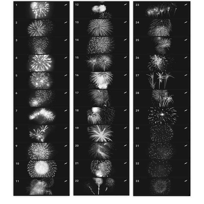 Procreate บรัชพลุ 33 บรัช