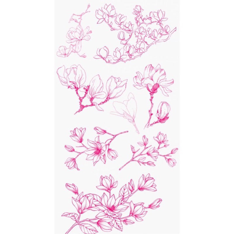 [Procreate/Ps] 60 บรัชดอกแมกโนเลีย