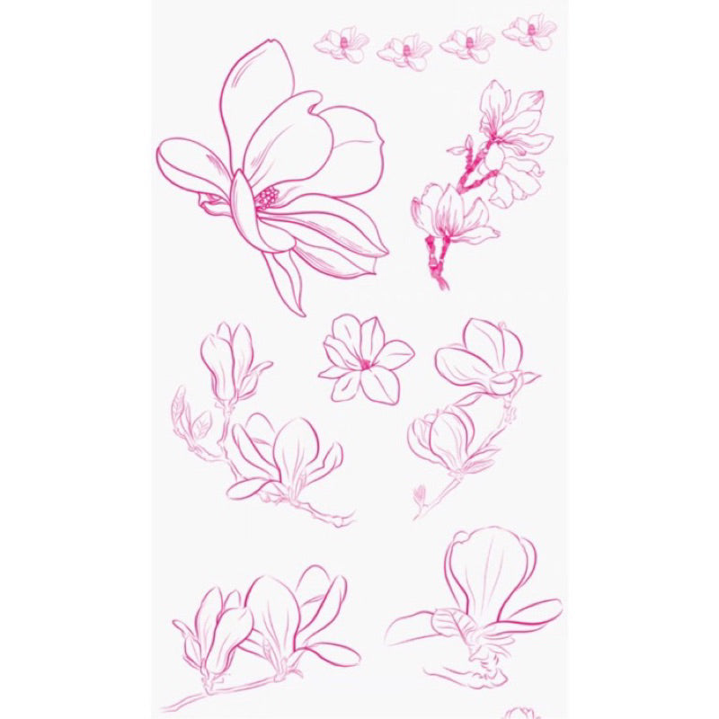 [Procreate/Ps] 60 บรัชดอกแมกโนเลีย