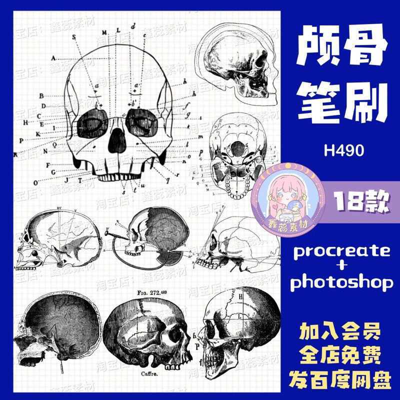 Procreate/Ps 18 บรัชกะโหลก (H490)