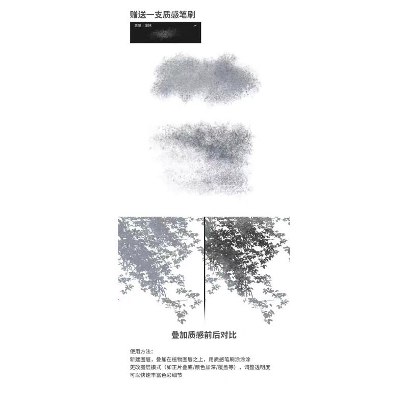 Procreate watercolor leaves brush (a101)