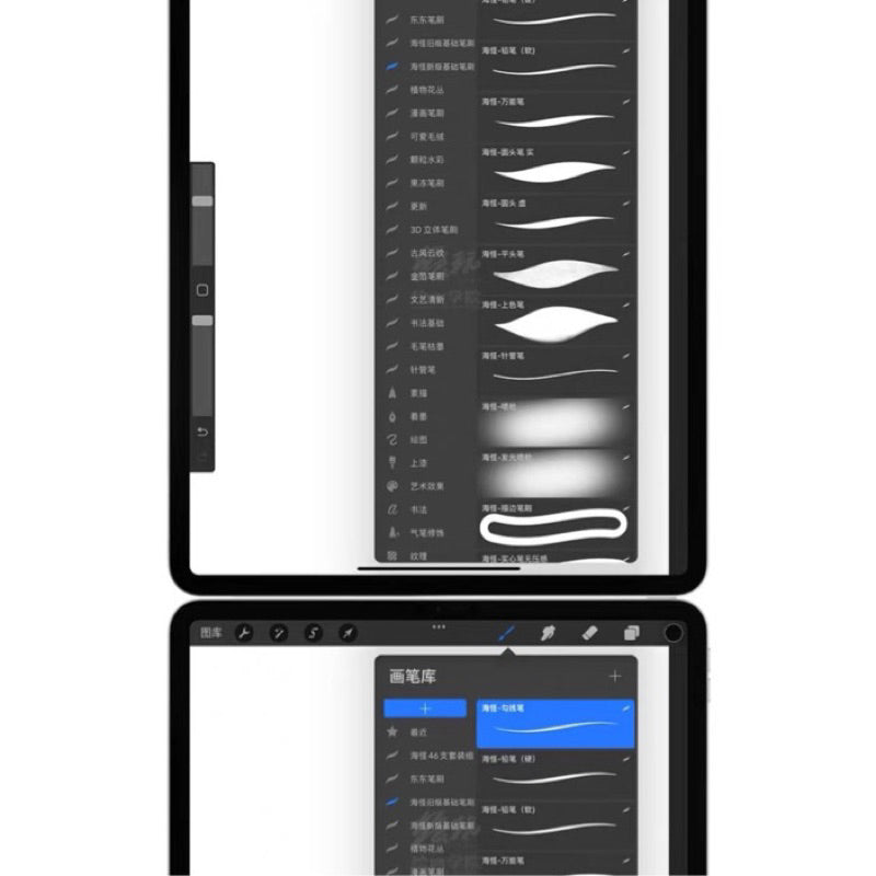 [Procreate Set] Mrs. Sea Monster & Dongdong