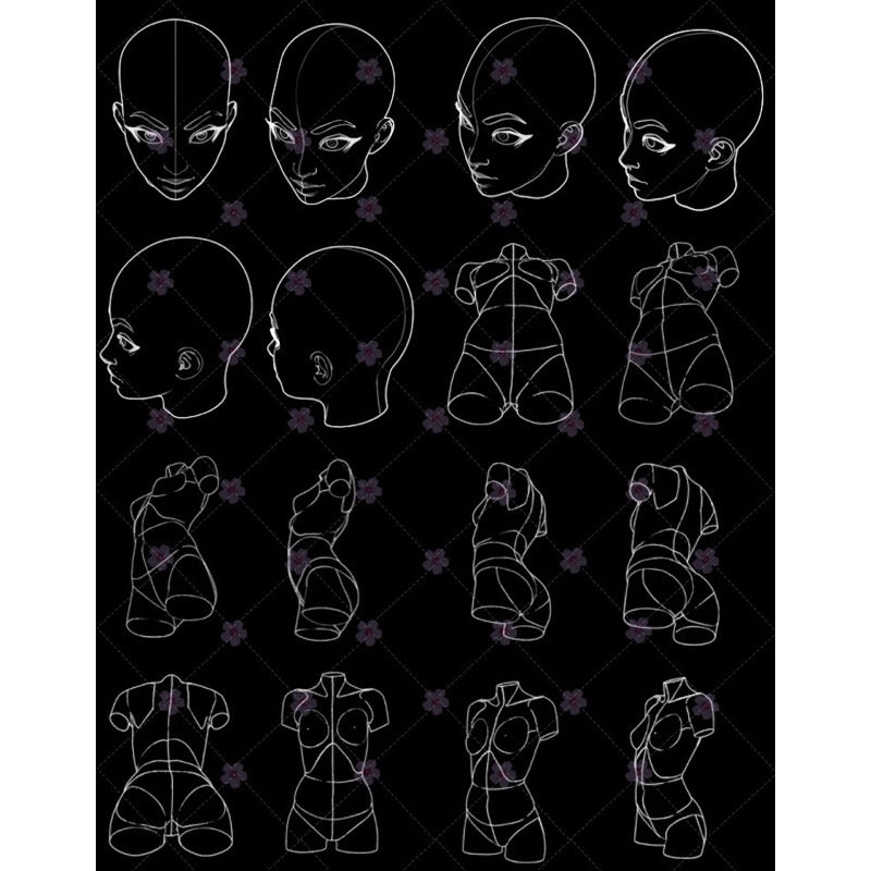 [Procreate/Ps] 39 เบสใบหน้า-ลำตัวผู้หญิง