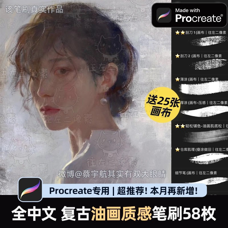 Procreate 58 บรัชวาดภาพสีน้ำมันย้อนยุค