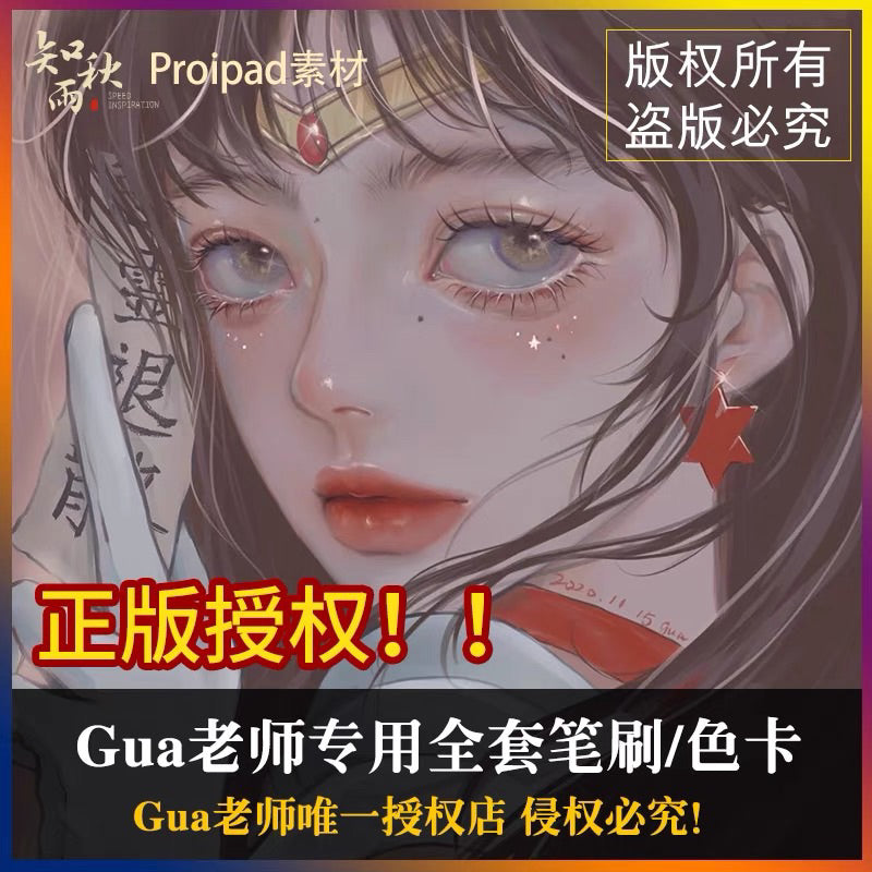 Procreate Set บรัชวาด portrait + พาเลทสี