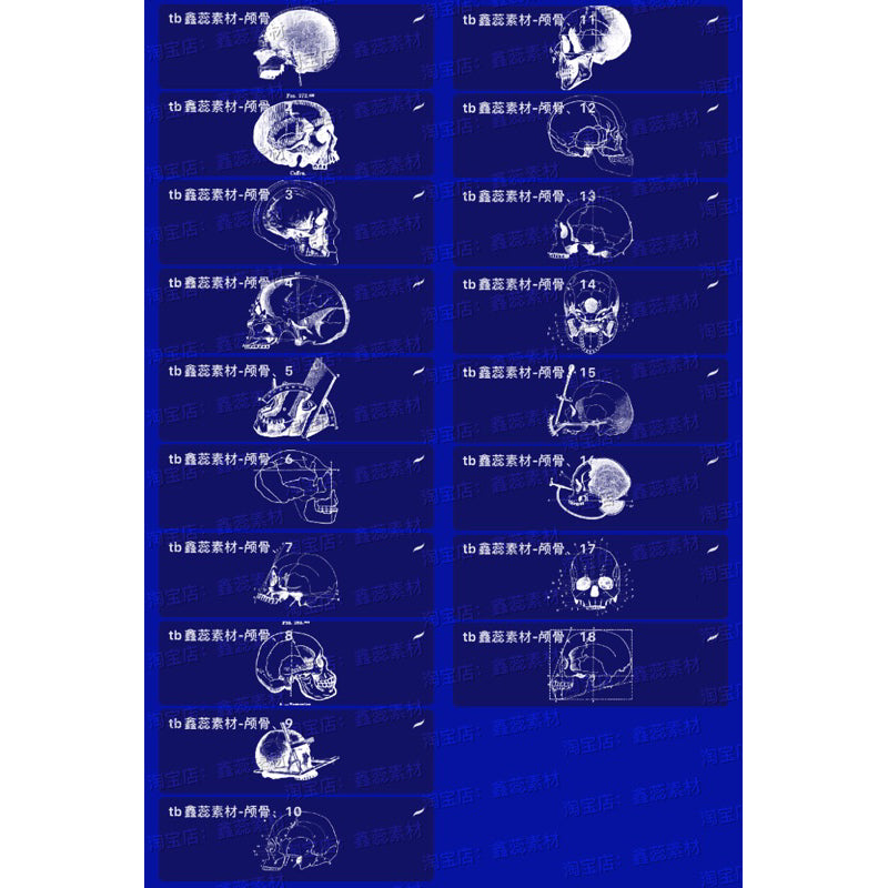 Procreate/Ps 18 บรัชกะโหลก (H490)