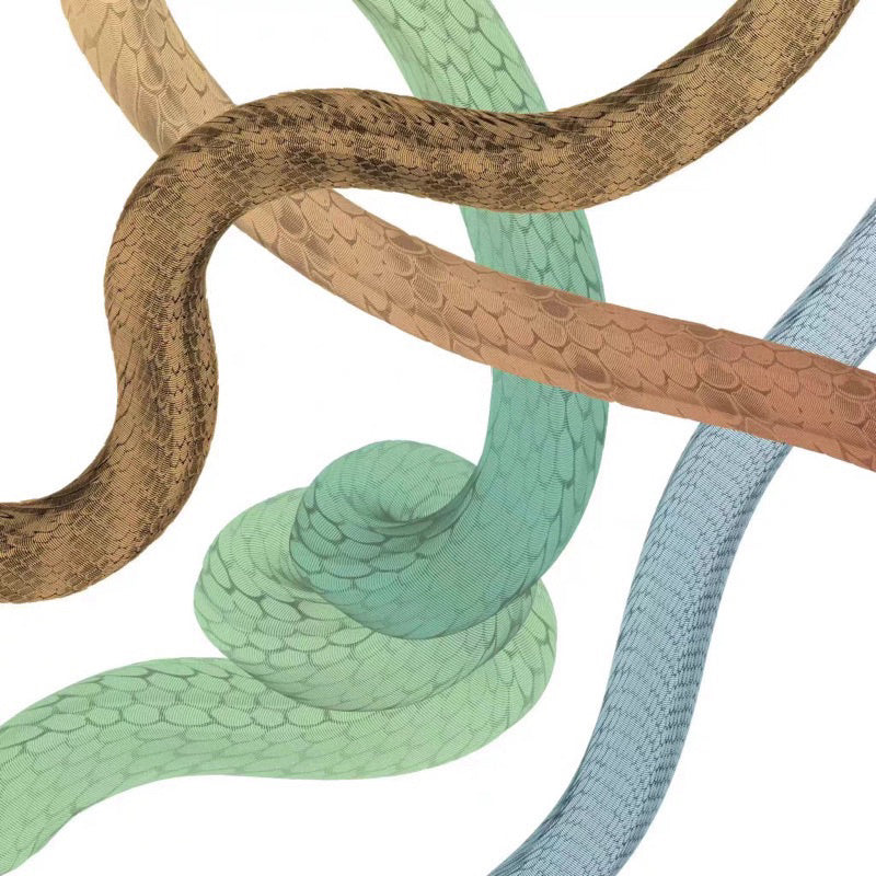 Procreate บรัชเกล็ดงู หนังงู