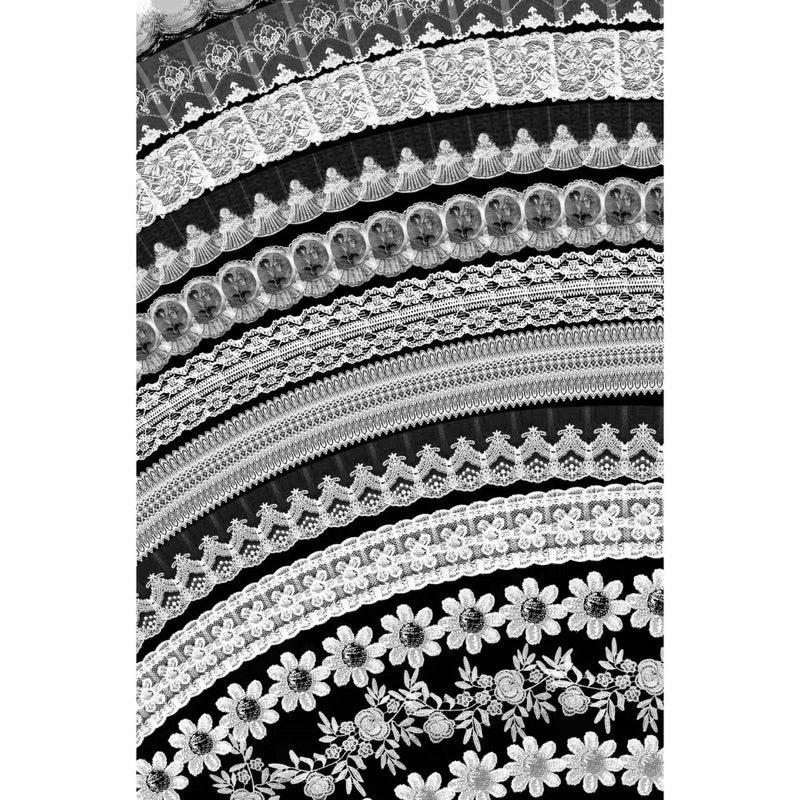 Procreate 21 บรัช retro realistic lace