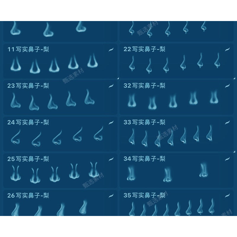 Procreate/Ps 40 บรัช Realistic Nose