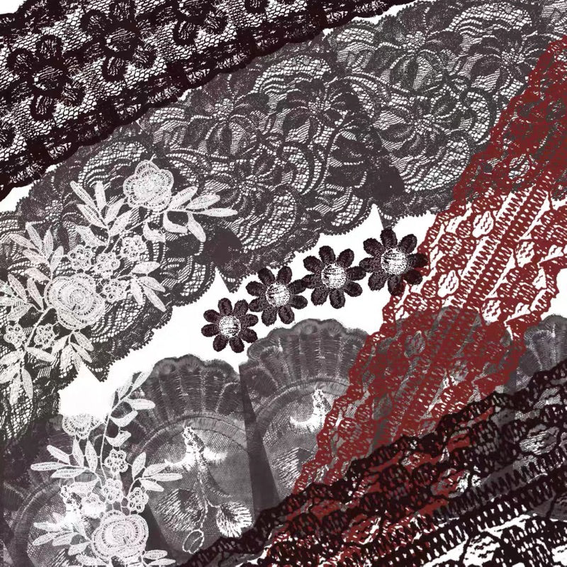 Procreate 21 บรัช retro realistic lace