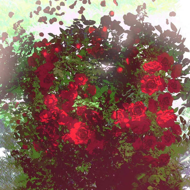 Procreate 40 บรัชดอกวิสทีเรีย กลีบดอก หญ้า ผีเสื้อ