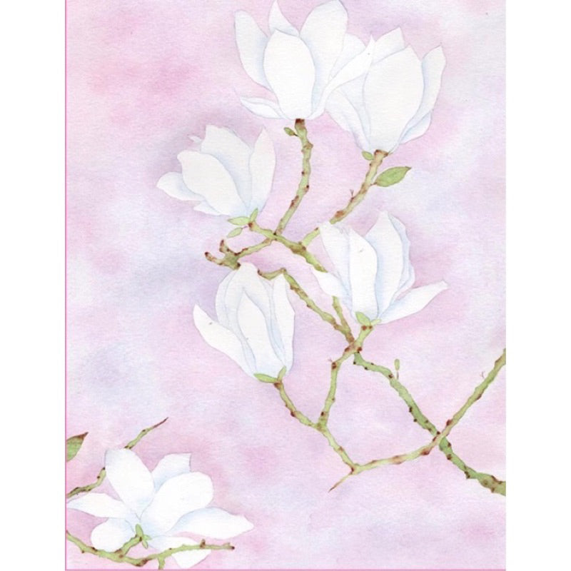 [Procreate/Ps] 60 บรัชดอกแมกโนเลีย