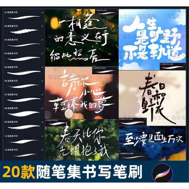 [procreate] 20 Writing Brushes