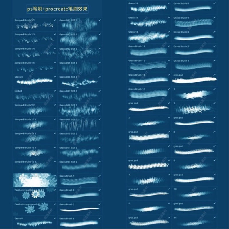 [procreate/ps] 241 บรัชดอกไม้ ใบหญ้า