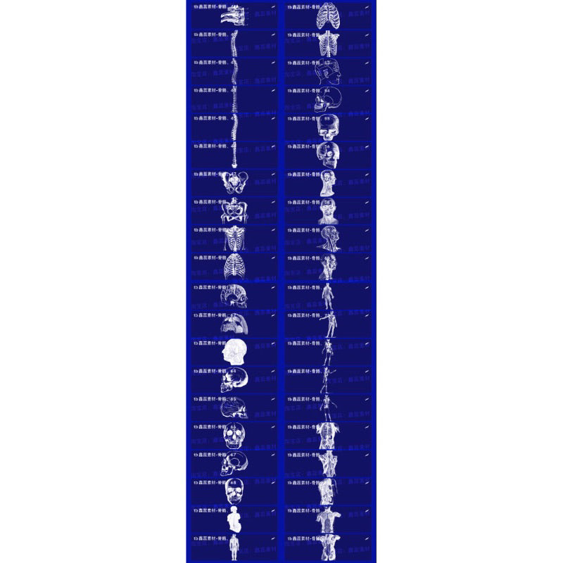 Procreate/Ps 84 บรัช human skeleton (H558)