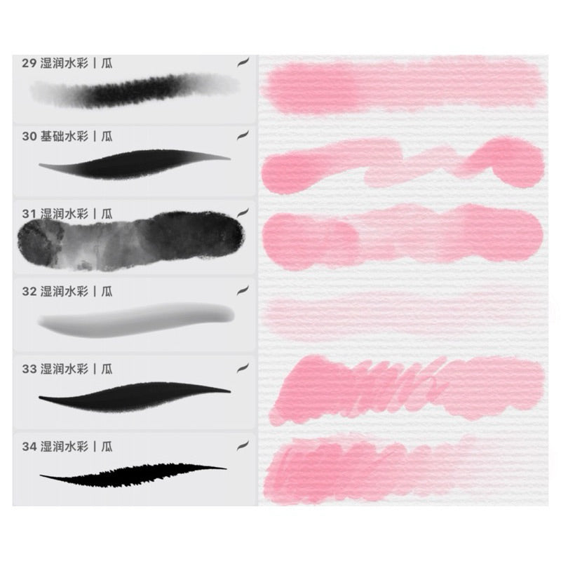 [Procreate] PEONIES Watercolor Floral Set