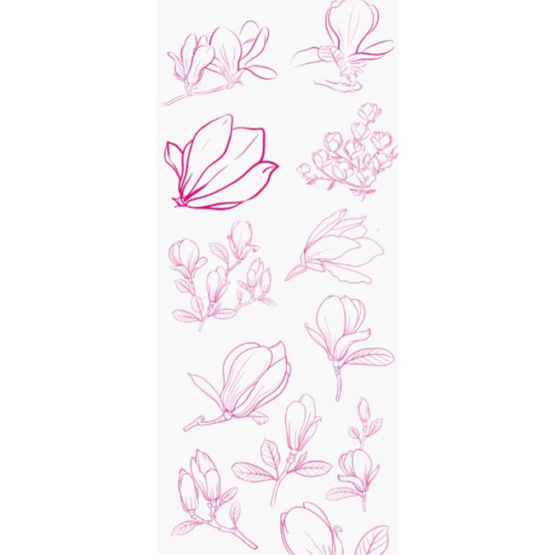 [Procreate/Ps] 60 บรัชดอกแมกโนเลีย